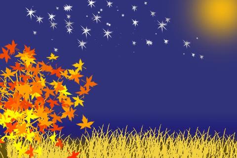 北京文化知识决赛