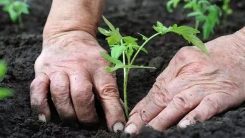 <p>“以劳动为犁，深耕学习。”我省某学校积极开展农业劳动实践课，深入了解生物学在生产生活中的应用。以下措施有解释不匹配的是（　　）<span data-tex=""> </span></p>