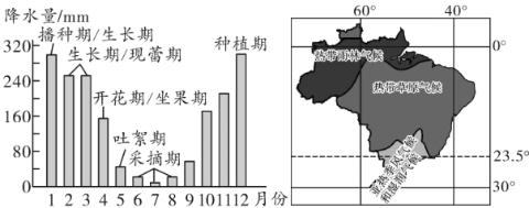 <p><strong>棉花是喜光喜热的作物，在生长过程中不同时期需水量不同。下图为巴西某棉花产区降水量季节变化示意图和巴西气候类型分布图。据此完成下题。</strong><span data-tex=""> </span><span data-tex=""> </span>根据图文信息推测，巴西该棉花产区（   ）</p>
