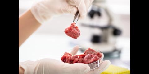 <p>世界第一块“人造牛排”由什么制成？<span data-tex=""> </span>What was the world’s first lab-grown steak made from?</p>