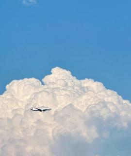 <p><strong>您觉得孩子目前最大的进步是什么？</strong></p>