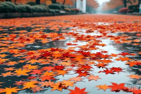 九年级化学中考选择题组1