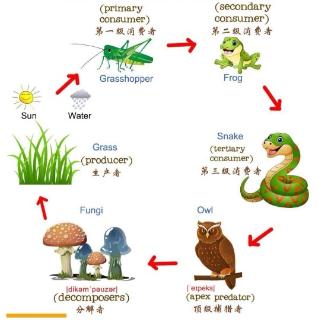 <p>What is this picture talking about?</p>