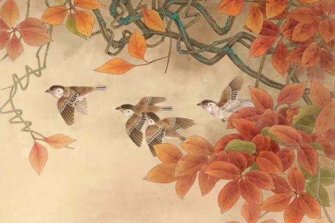 Adobe Illustrator 操作技巧
