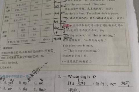 形容词性物主代词与名词性物主代词