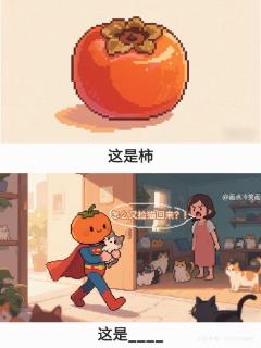 <p>这是？</p>