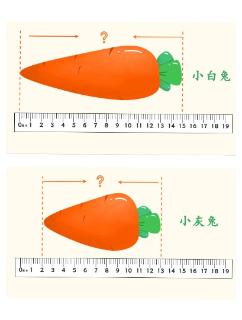 <p>小白兔的胡萝卜长（   ）cm,小灰兔的胡萝卜长（   ）cm</p>