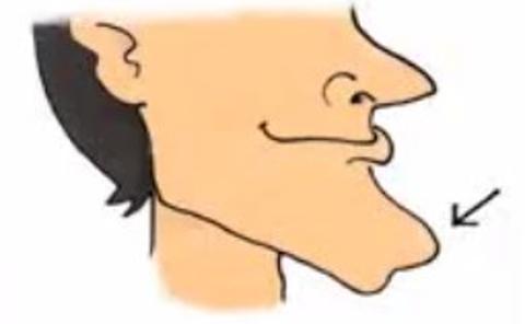 <p>看图选单词</p>