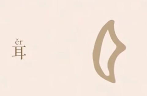 <p>这个字属于哪种造字法？</p>