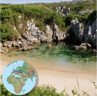 <p>This beach is surrounded by ___.</p>