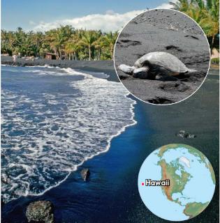 <p>The sand is black because it's made of pieces of rock from ___.</p>