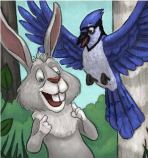 <p>What can rabbit do?</p>