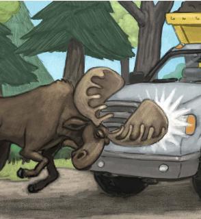 <p>What did moose feel?</p>