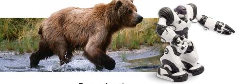 <p>What do <strong>living things</strong> need that nonliving things do not?</p>