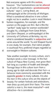 <p>What determines the beauty of Huli man in Papua New Guinea?</p>