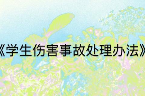 《学生伤害事故处理办法》解读