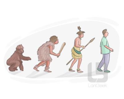 <p>Do you firmly believe that humans _________ from apes?</p>