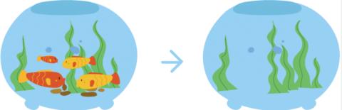 <p>游走了（      ）条鱼</p>