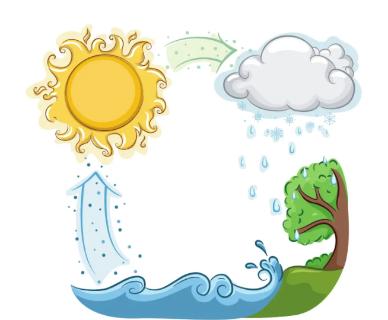 <p>order the life cycle</p>