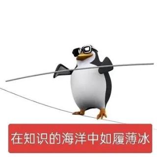 <p>合伙企业的利润分配、亏损分担比例如何确定</p>