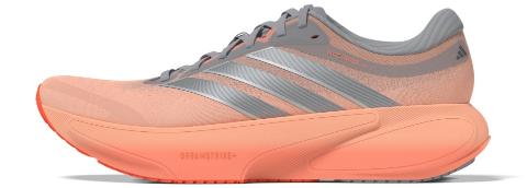 <p>SUPERNOVA RISE 3的定位是什么？</p>