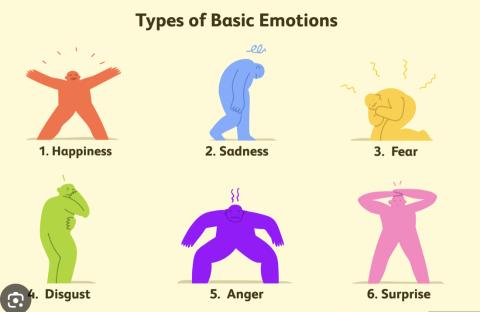 <p>basic</p>