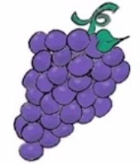 <p>What are they?</p>