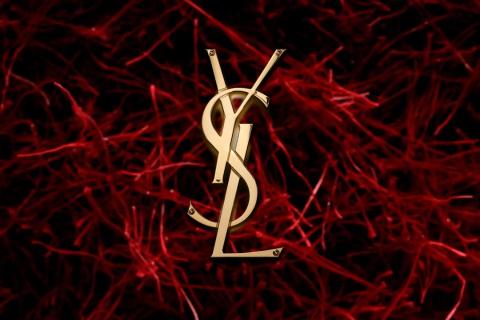 圣罗兰藏金奢妍护肤