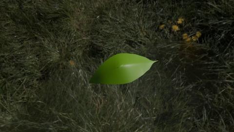 <p>31</p>