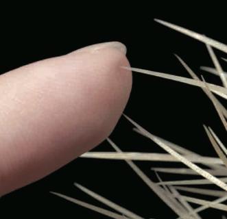 <p>手碰到仙人掌刺后会立即缩手，这个动作通过（▲）做出的。</p>