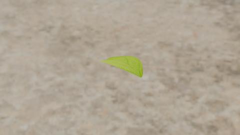 <p>08</p>