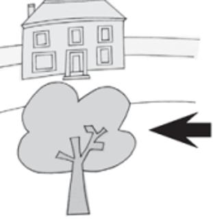 <p>The tree is ______ the house.</p>
