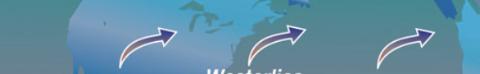 <p>Which wind belt does this represent?</p>