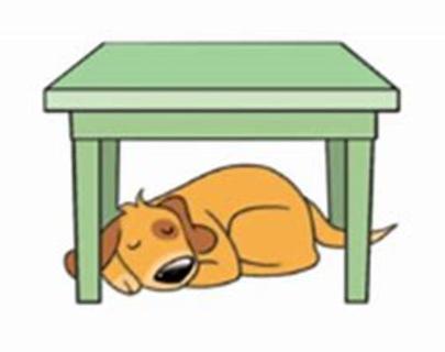 <p>The dog is <u>        </u> the table.</p>