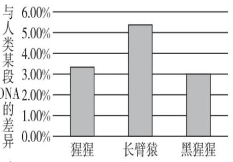 <p><strong>科学家比较了几种现代类人猿与人类的某段DNA，得到如图所示结果，该结果说明(　　)</strong><span data-tex=""> </span></p>