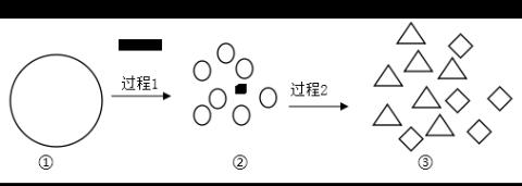 <p>“汴京烤鸭”是豫菜中的经典名菜之一，鸭肉中的脂肪在消化道内被分解的过程如图所示。下列相关说法正确的是</p>