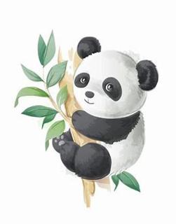 <p>看图选单词</p>