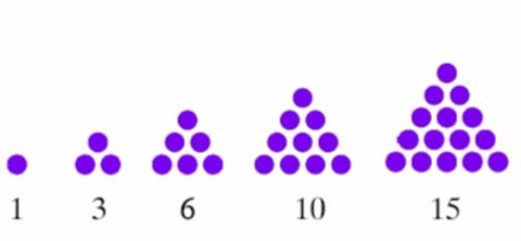 <p>This spatial pattern shows _______.</p>