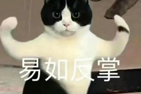 模块一综合测试