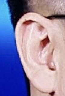 <p>Which Top Team member's ear is shown in the picture? 请问图片上的耳朵是Top Team 哪位成员的？</p>