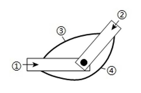 <p>如图为某生物兴趣小组利用硬纸板、适当长度的松紧带和工字钉制作的模型，用来模拟肌肉牵动骨运动的过程。下列相关叙述不正确的是</p>
