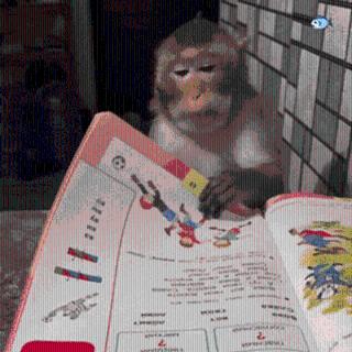 <p>关于合伙企业与个人独资企业的表述，下列哪一选项是正确的 </p>