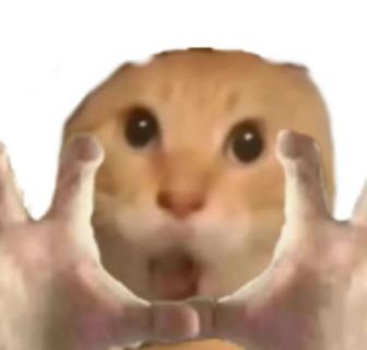 <p>《期货市场程序化交易管理规定（试行）》明确，程序化交易需向______履行报告义务 </p>