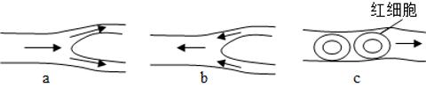 <p>a、b、c三图分别代表人体的三种类型的血管，箭头代表血管内血液流动方向，下列关于这三种血管的描述，错误的是</p>