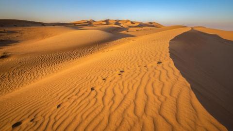 <p>About how much of the UAE is desert?</p>