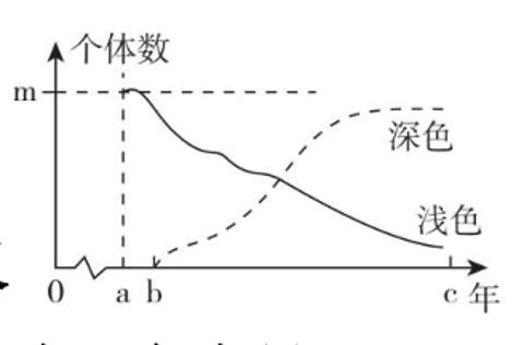 <p><strong>将某地区100多年间(a~c)桦尺蛾体色和数量的调查绘制成图，下面分析不正确的是(　　)</strong><span data-tex=""> </span></p>