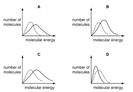 <p>Which solid-line curve represents the distribution of molecular energies in a gas at 500 K if the dotted-line curve represents the same gas at 300 K?</p>