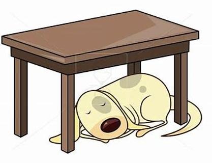 <p>看图选单词</p>