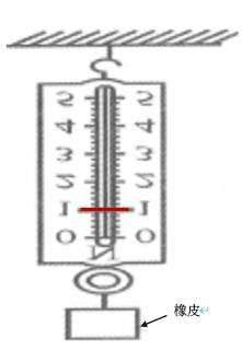 <p>如图所示，弹簧测力计的挂钩挂在墙壁上，提环上挂了一块橡皮，指针指向1N。下列表述正确的是（）。</p>