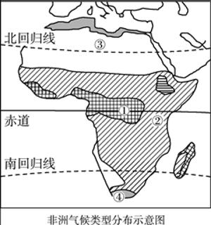 <p>猴面包树多位于哪种气候区</p>